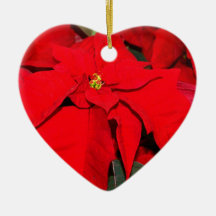 Poinsettia, feliz Christmas2010 Ornamento Para Arbol De Navidad