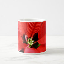Poinsettia rojo brillante del navidad tazas de café
