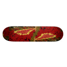 Poinsettias de la cama de flor, del rojo, blancos  tablas de patinar
