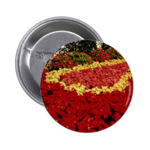 Poinsettias de la cama de flor, del rojo, blancos  pin