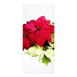 Poinsettias, rojo y amarillo tarjeta publicitaria a todo color