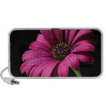 Polen iPhone Altavoces