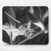Polilla blanco y negro Mousepad
