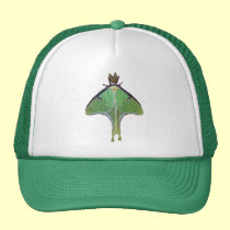 Polilla de Luna gorras