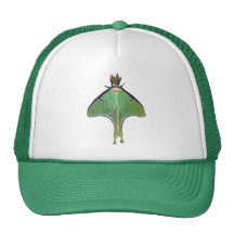 Polilla de Luna Gorro