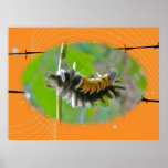 Polilla de mechón del Milkweed del poster Caterpil