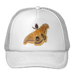 Polilla de Polyphemus Gorro