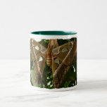 Polilla Tazas De Café