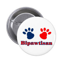 Política de Bipawtisan Pin