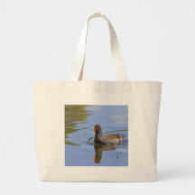 Polla de agua común bolsas