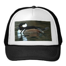 Pollo de agua encapuchado gorros  