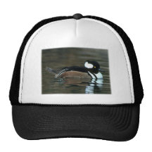 Pollo de agua encapuchado gorros  