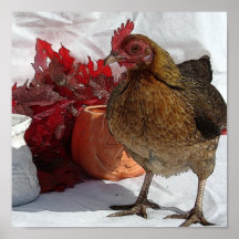 Pollo de la caída impresiones