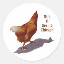 Pollo: El conseguir más viejo: Pollo de primavera Pegatina Redonda