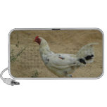Pollo Mexicano iPod Altavoz