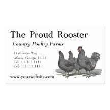 Pollos de Plymouth Rock, gallo Plantillas De Tarjetas De Visita