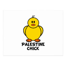 Polluelo de Palestina Tarjeta Postal