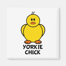 Polluelo de Yorkie Iman Para Frigorífico