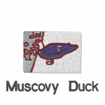 Polo del pato de Muscovy