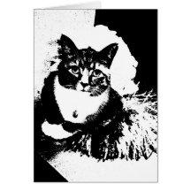 ¡Pom del pom del haz del gato I de la animadora! Felicitación
