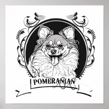 POMERANIAN (2) POSTER