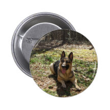 Ponga su imagen en un botón pin