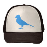 Ponga un pájaro en él - gorra del arrendajo azul