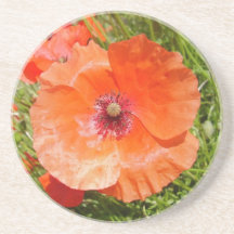 Poppies - Amapolas Posavasos Cerveza