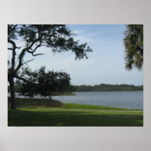Por la lona del lustre de princesa Preserve 20x15  Posters