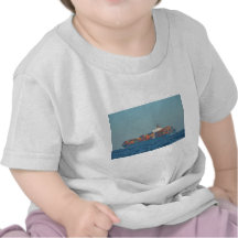 Portacontenedores APL CHILE Camiseta