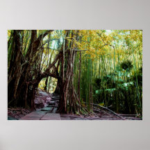 Portal del Banyan Posters