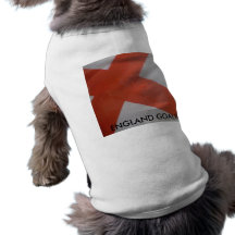 , PORTERO DE INGLATERRA CAMISA DE PERRITO