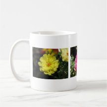 Portulaca bonito tazas de café