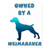 Poseído por un Weimaraner Postales