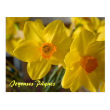 Postal amarilla de Joyeuses Pâques de los narcisos