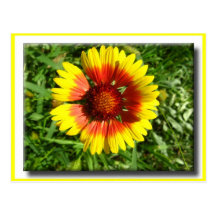 Postal amarilla de la flor