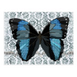Postal azul del damasco de la mariposa de Boho