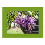 Postal - cesta fucsia de "Lisa" con los flores