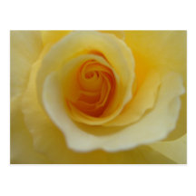 Postal color de rosa de 2 limones