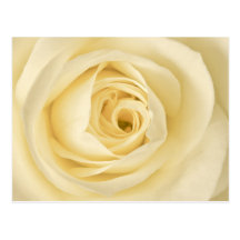 Postal color de rosa poner crema