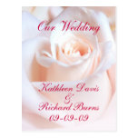 Postal color de rosa romántica de la invitación de