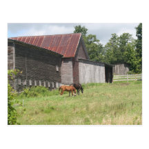 Postal con dos caballos y graneros