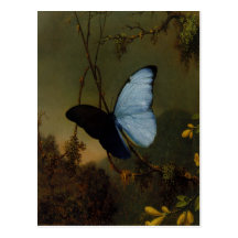Postal con la pintura de Martin Johnson Heade