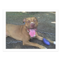 Postal de APBT