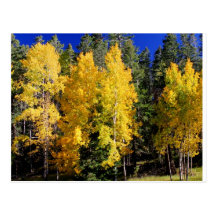 Postal de Aspen