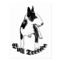 Postal de bull terrier