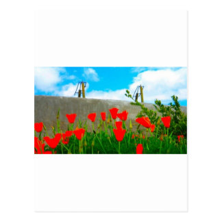 postal de California