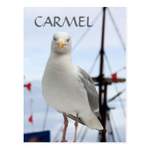 Postal de Carmel, de la gaviota y del barco