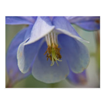 Postal de Columbine