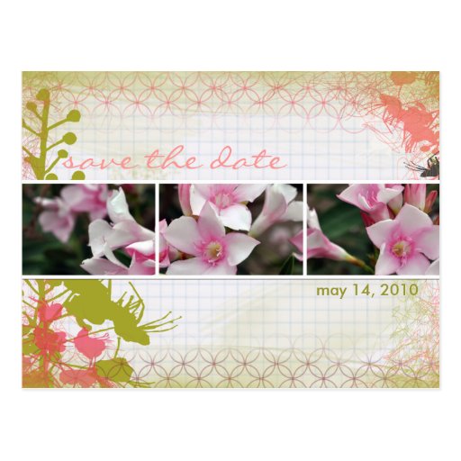 Postal de DesertBotanicals - gráfico floral